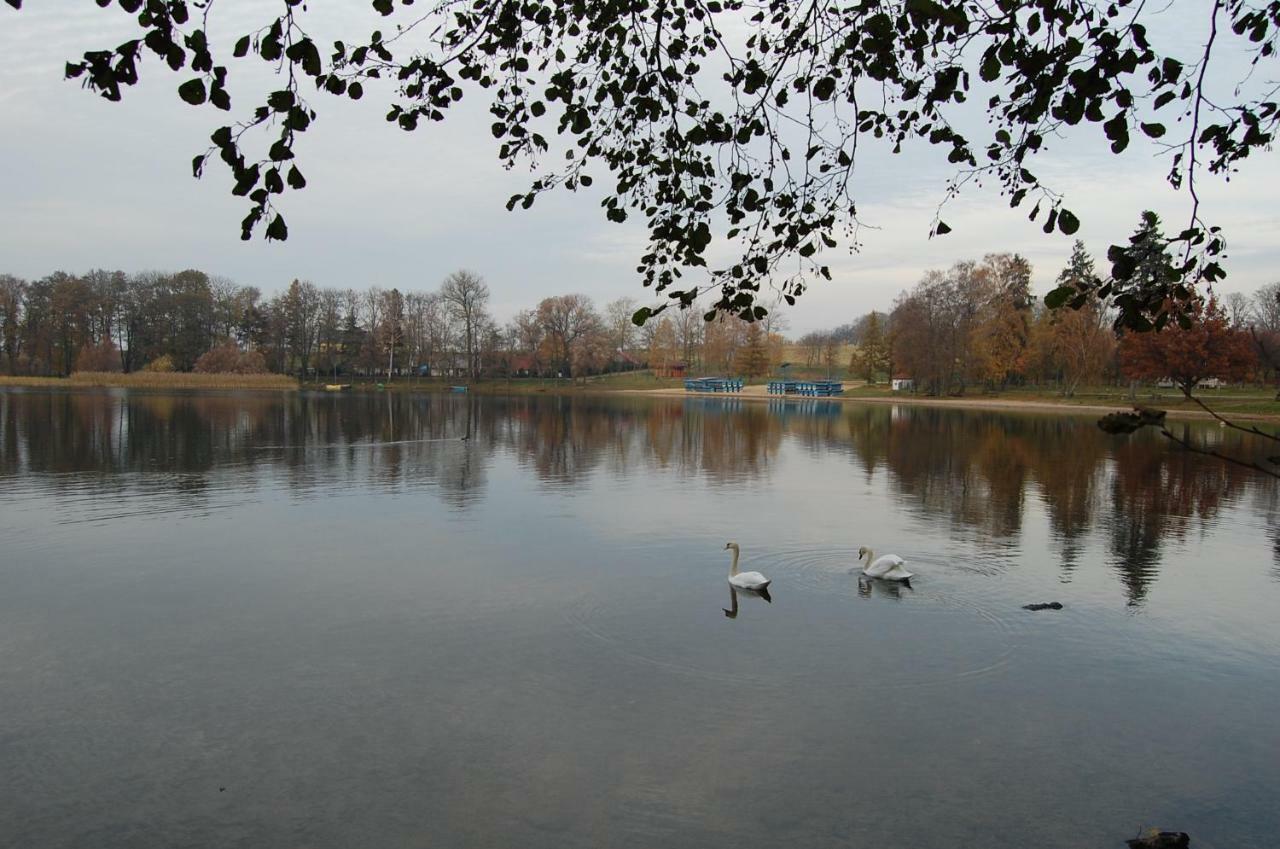 Przystanek Czapla Nocleg ze śniadaniem *